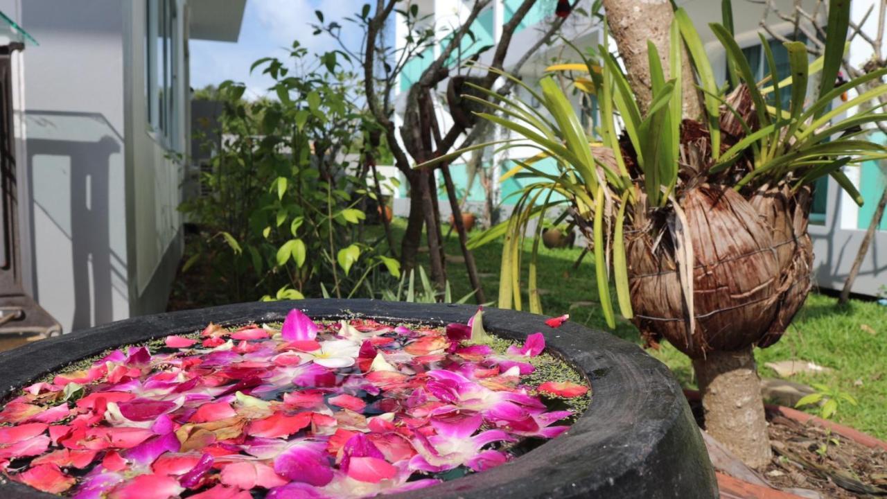 The Tree Samui Hotel Bophut Exterior foto
